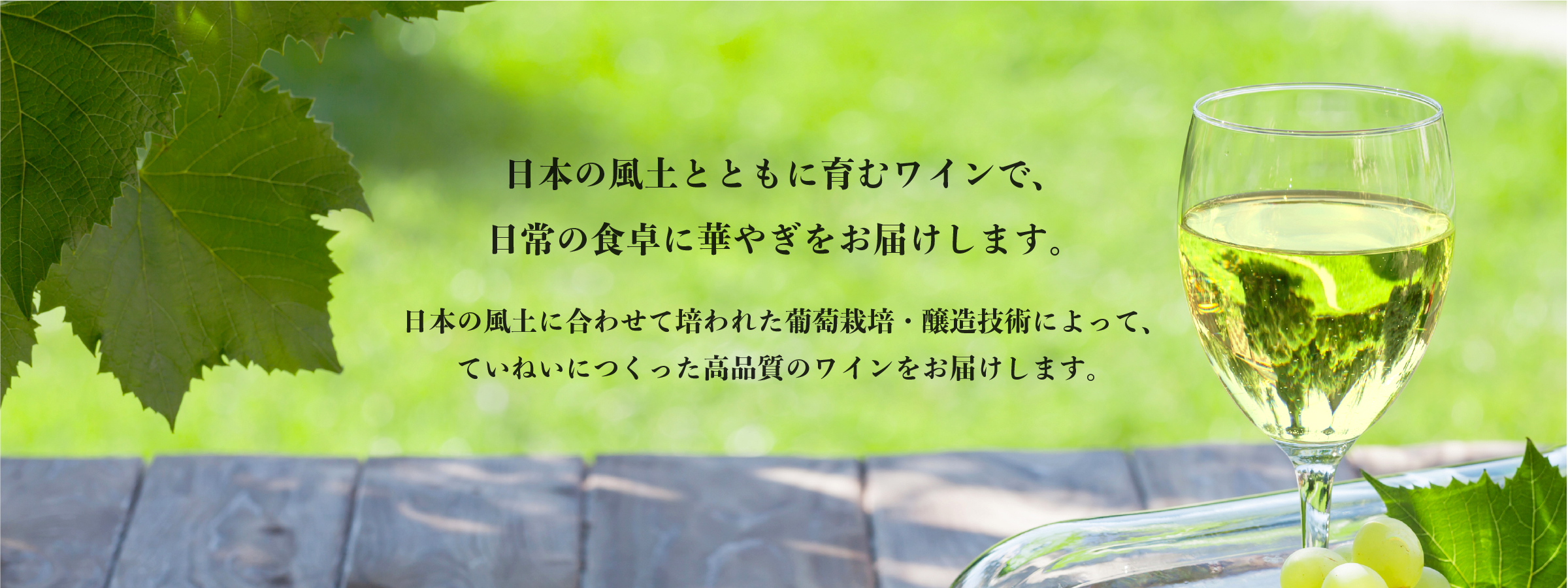 日本の風土とともに育むワインで、日常の食卓に華やぎをお届けします。日本の風土に合わせて培われた葡萄栽培・醸造技術によって、ていねいにつくった高品質のワインをお届けします。