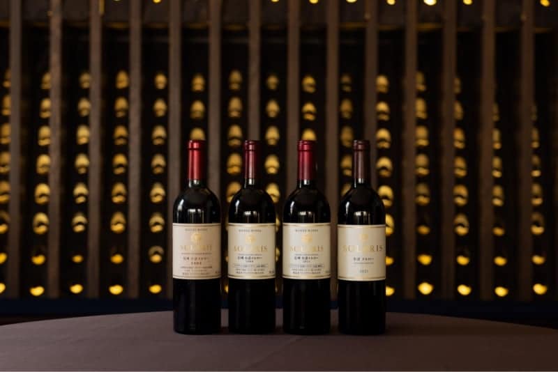 特別テイスティングセット