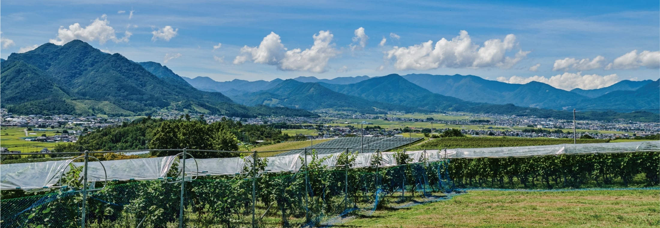 世界が注目する「長野ブランド」GI長野の認証を取得