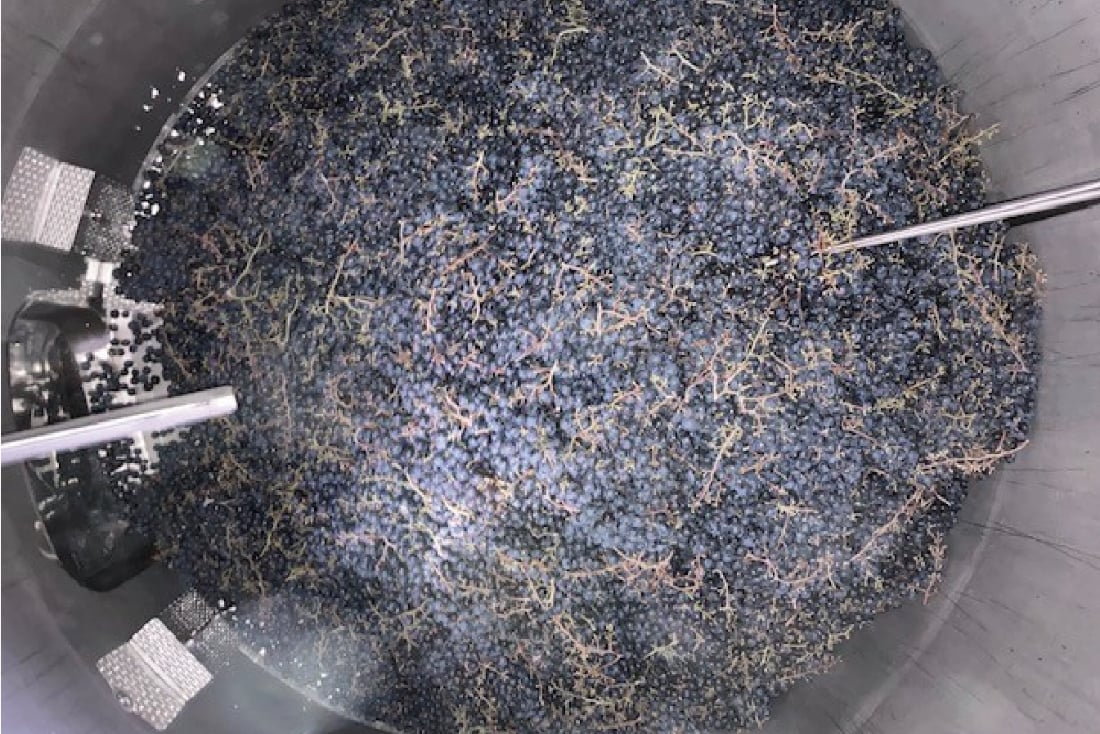 個性を引き出すための栽培と仕込み