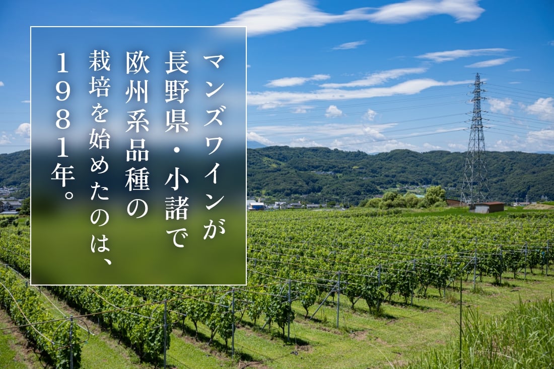 マンズワインの歴史 | マンズワイン株式会社