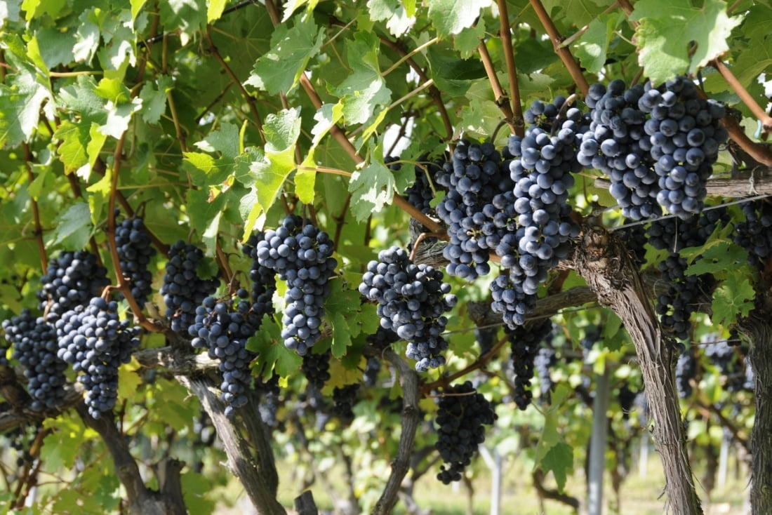 他社に類を見ない、最高レベルの品質追求