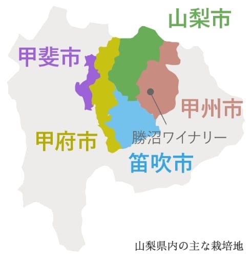 山梨県内の主な栽培地