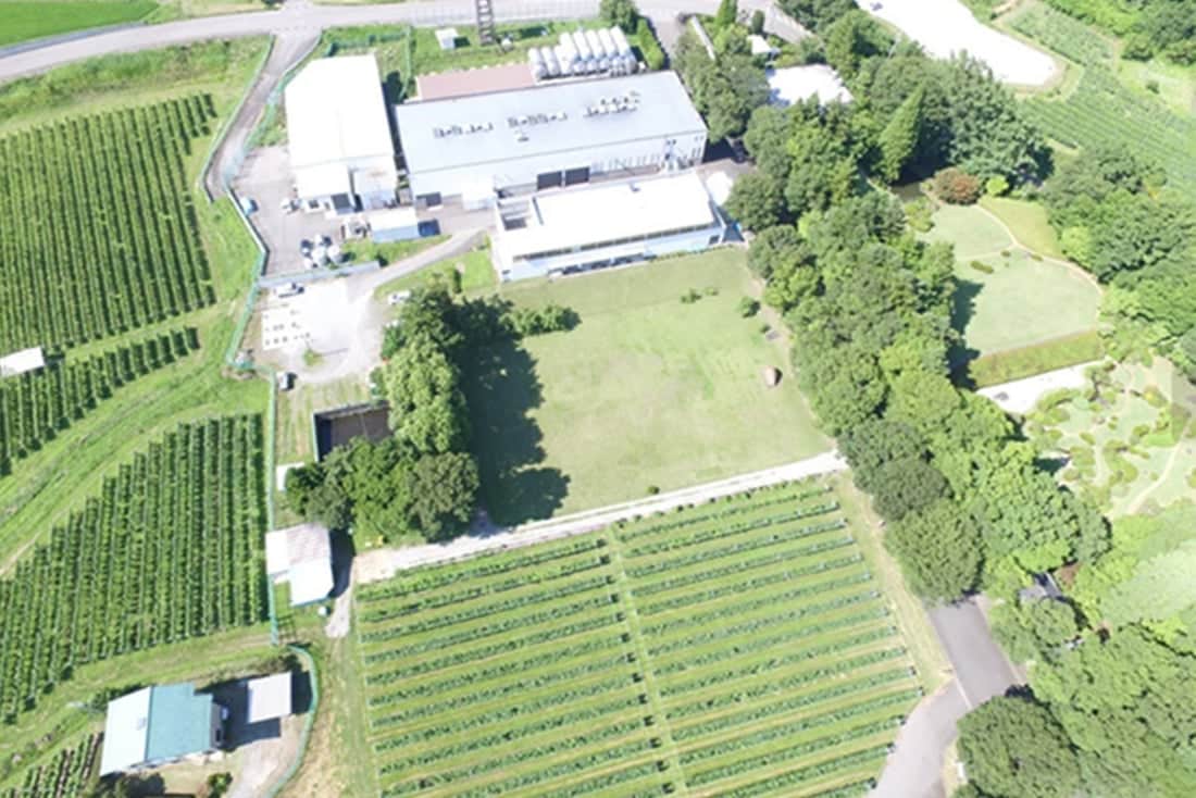 千曲川ワインバレーのパイオニア