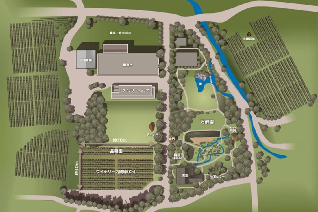 さまざまな楽しみ方ができる見どころ満載のワイナリー