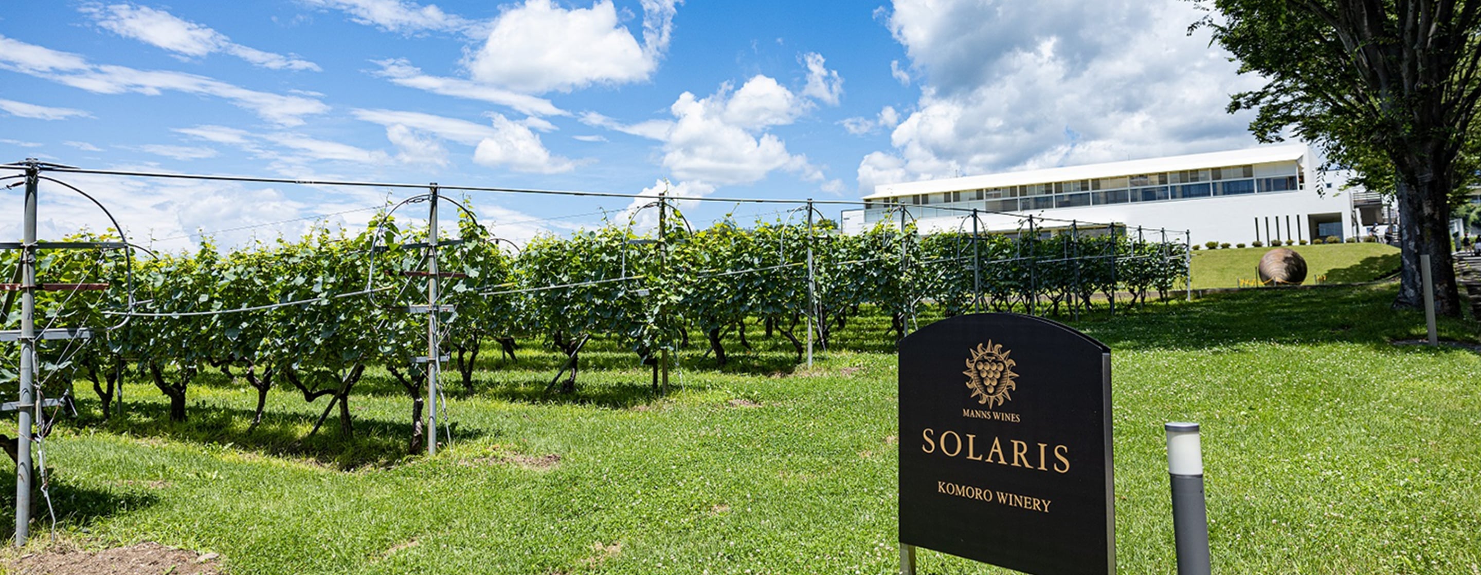 小諸ワイナリー