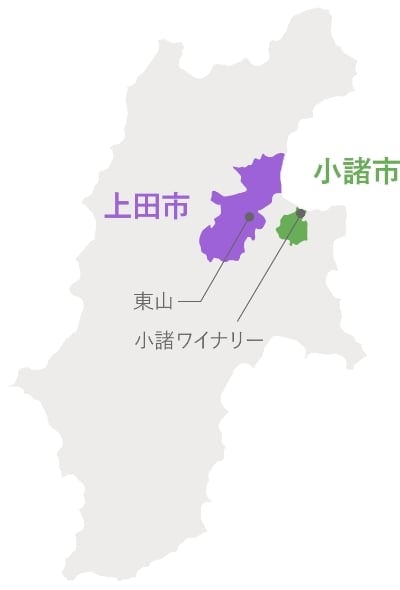 長野県上田市東山に畑を開設