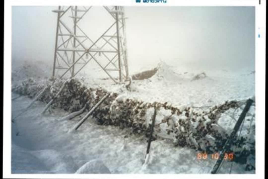 1988年10月、季節外れの大雪で龍眼（善光寺ぶどう）の棚場崩壊