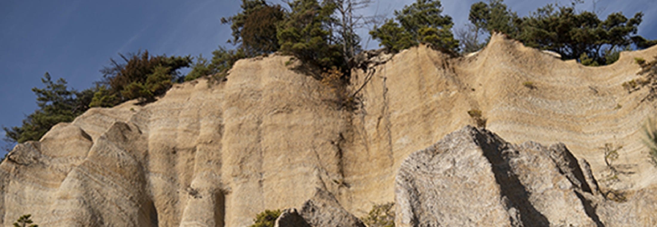 東山の畑の裏に露出する地層。およそ2000万年前から500万年前は海の底だった一帯が地殻変動により長い年月をかけて隆起したもの