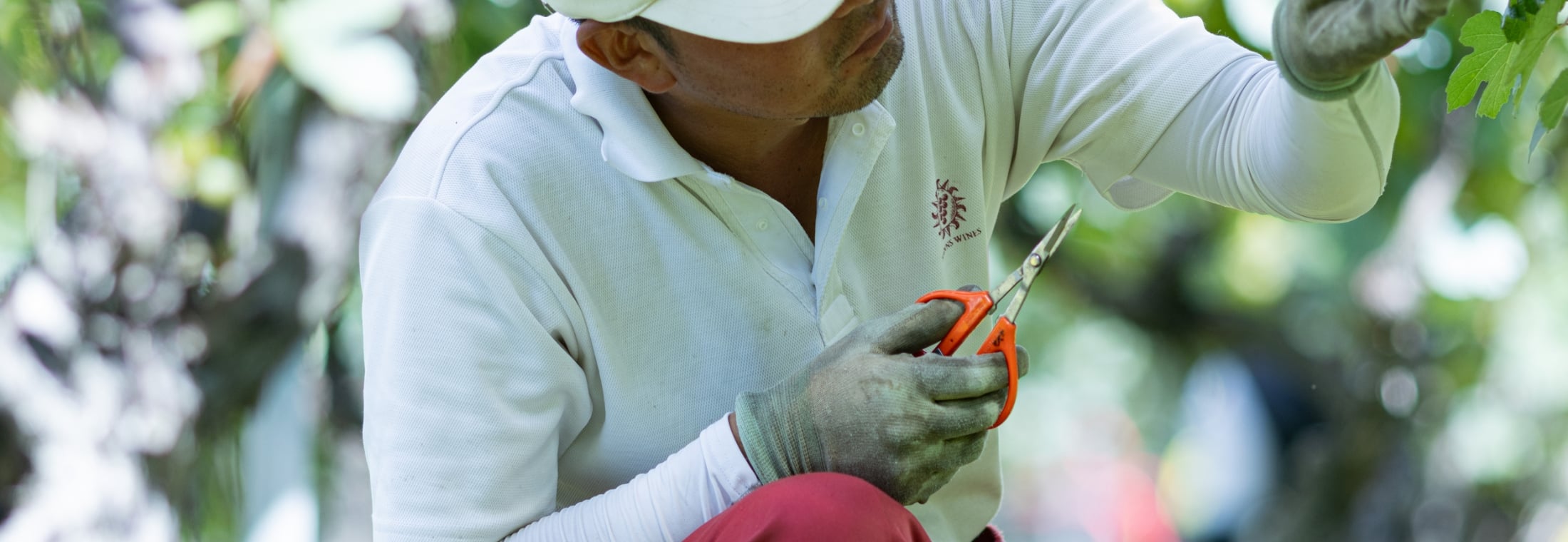 つくり手の想い