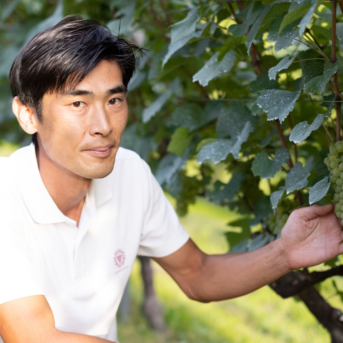 勝沼で「酵母の泡」の開発に参加しついに「ソラリス」のふるさと小諸へ