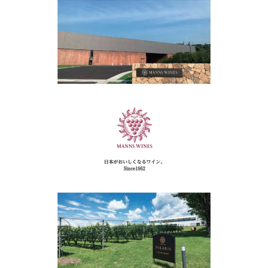 ワイナリー（勝沼ワイナリー、小諸ワイナリー共通）パンフレット