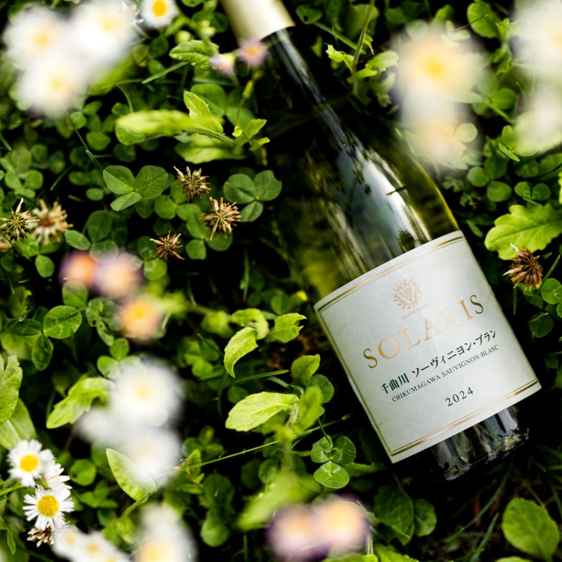 SOLARISと草花