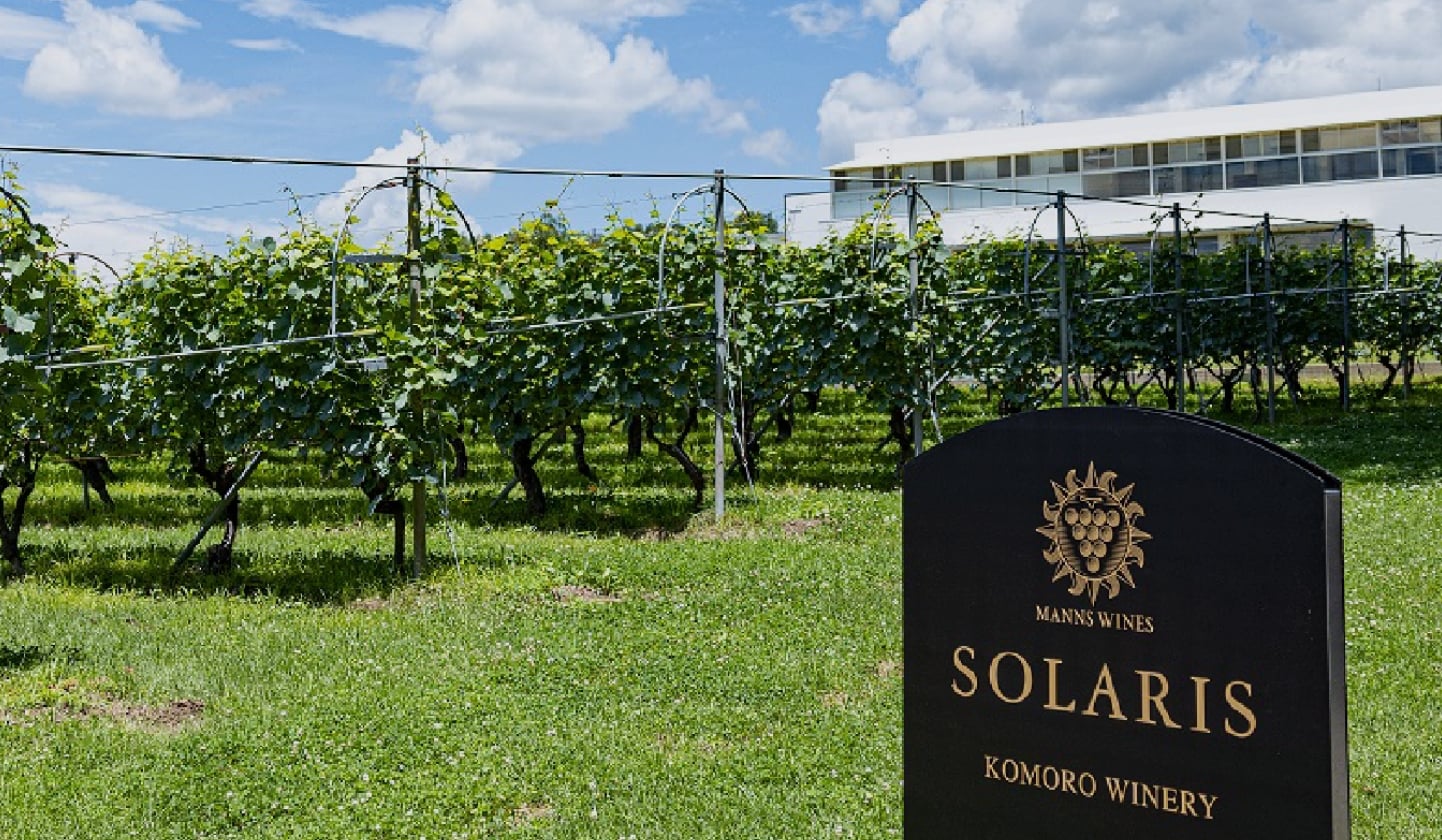 ぶどう畑の前に立つ黒いサインに『SOLARIS KOMORO WINERY』と書かれた、マンズワイン・ソラリス小諸ワイナリーの風景。奥には整然と並ぶぶどう畑と建物が見える。