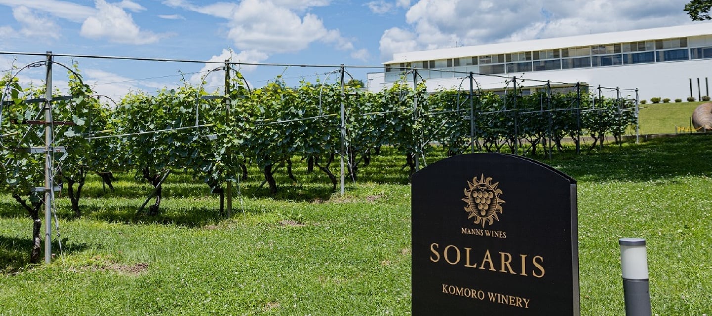 小諸ワイナリー