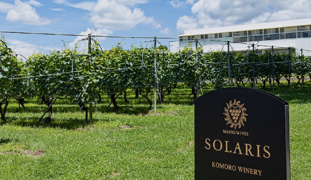 小諸ワイナリー