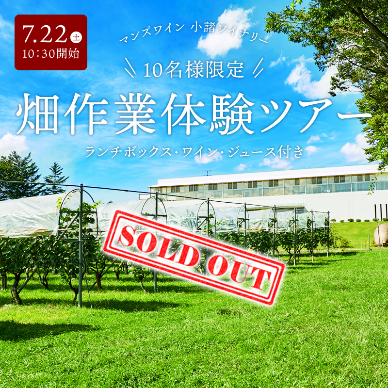 【マンズワイン 小諸ワイナリー】畑作業体験ツアー開催！