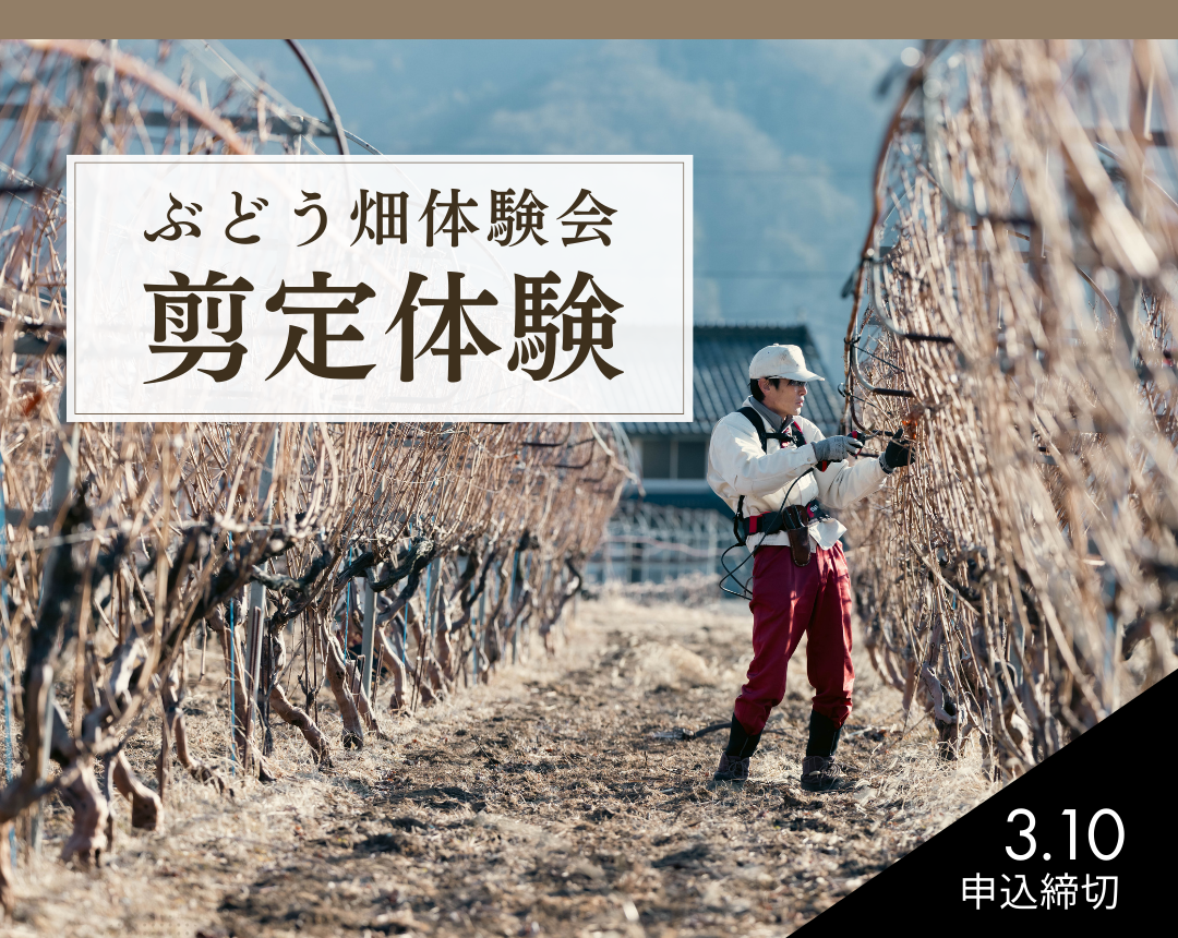 【3月14日(土)開催】小諸ワイナリーで剪定体験会