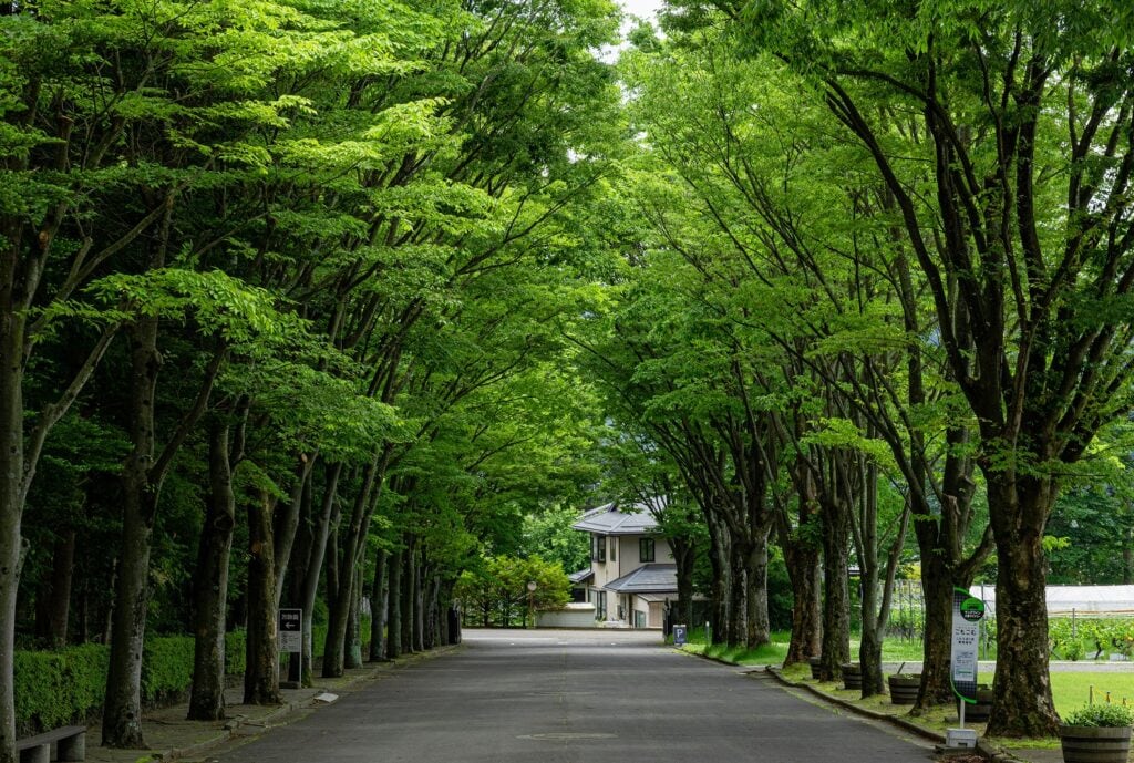 樹齢40年のシャルドネと日本庭園が迎える、小諸ワイナリーの魅力